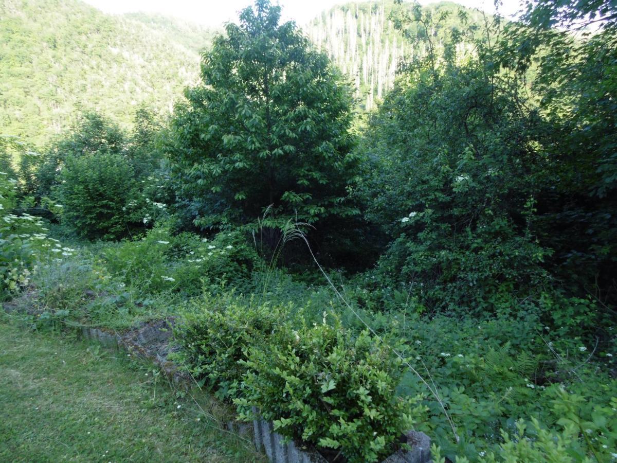 Schaefer Apartamento Waldbreitbach