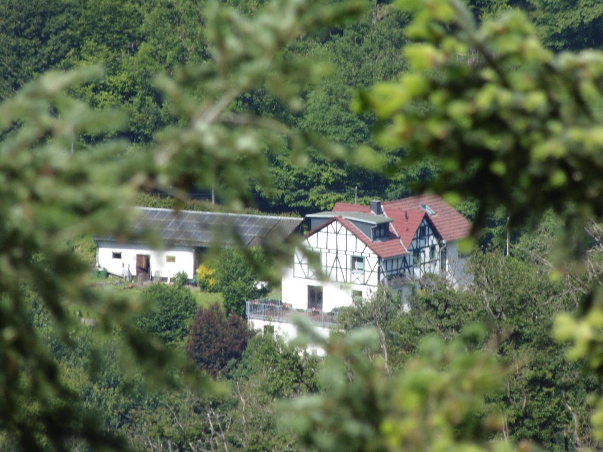 Schaefer Apartamento