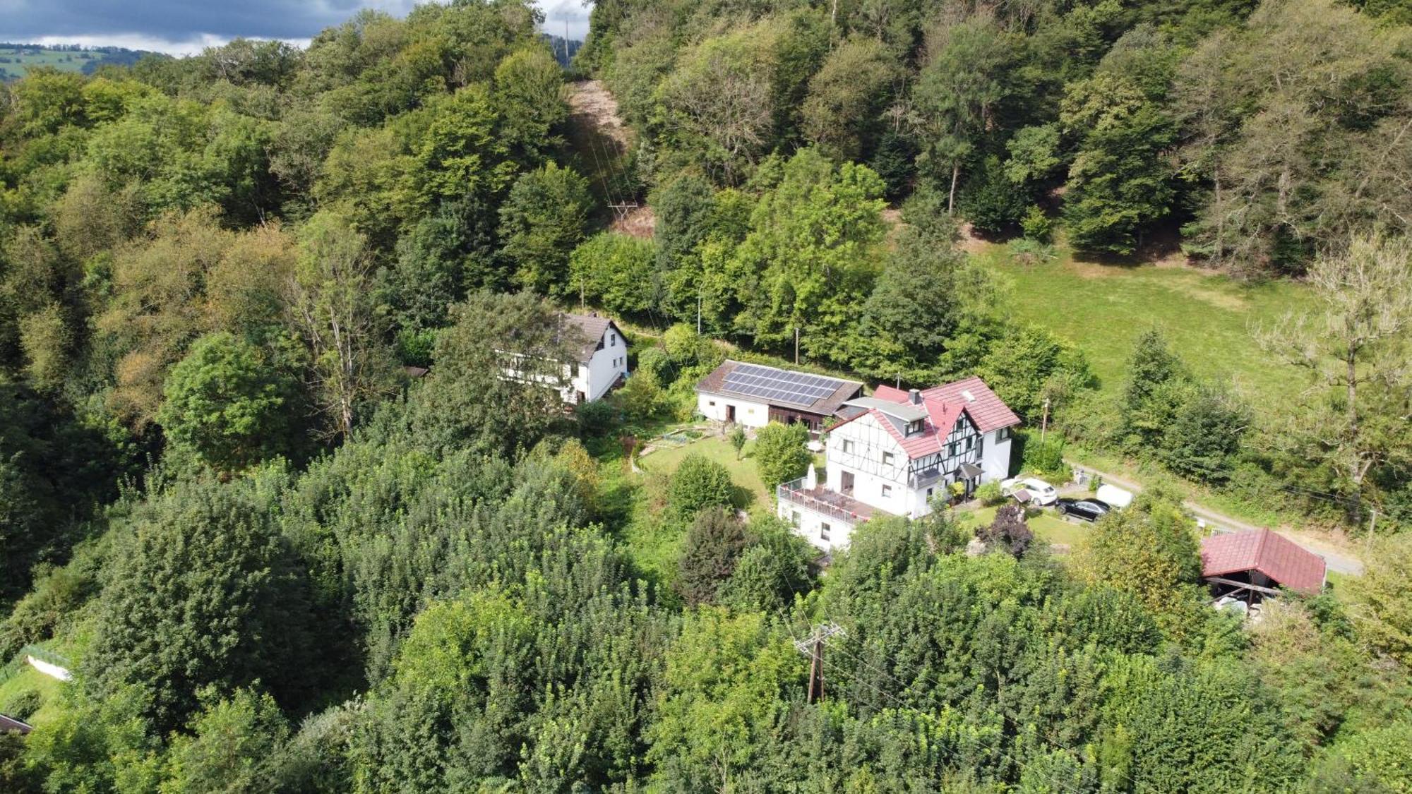 Schaefer Apartment Waldbreitbach